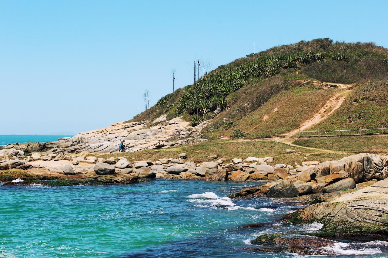 Baleia Azul *